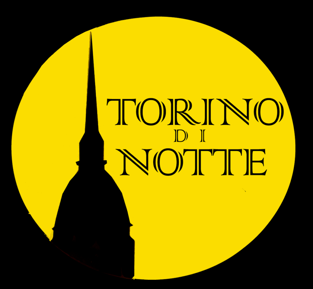 Torino di notte